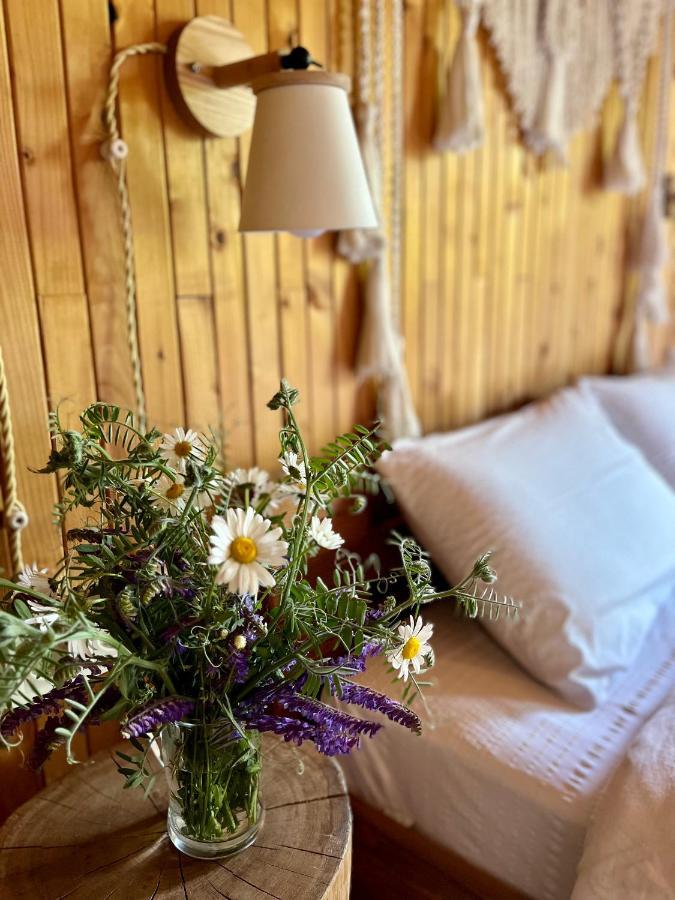 Villa House Girska Rika Korchin Esterno foto